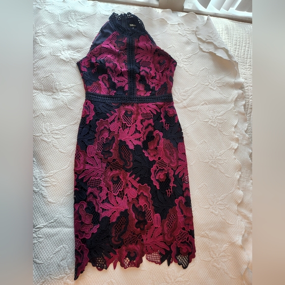 Alexia Admor Lace Overlay Midi Dress in Black and Pink